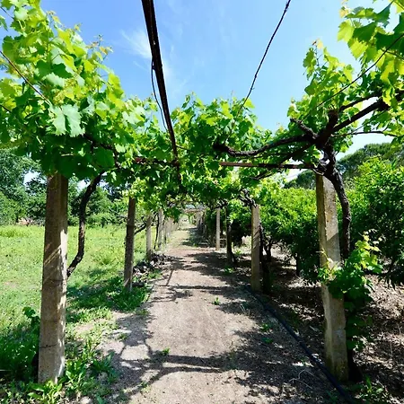 Quinta Da Barreira וילה *